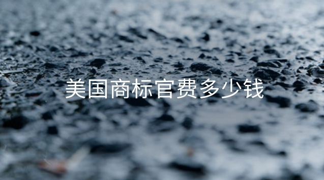 美國商標(biāo)官費多少錢